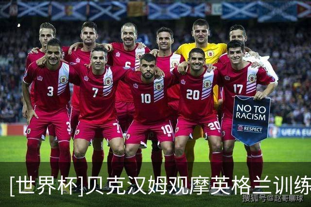 [世界杯]贝克汉姆观摩英格兰训练 凯恩淡看射手之争